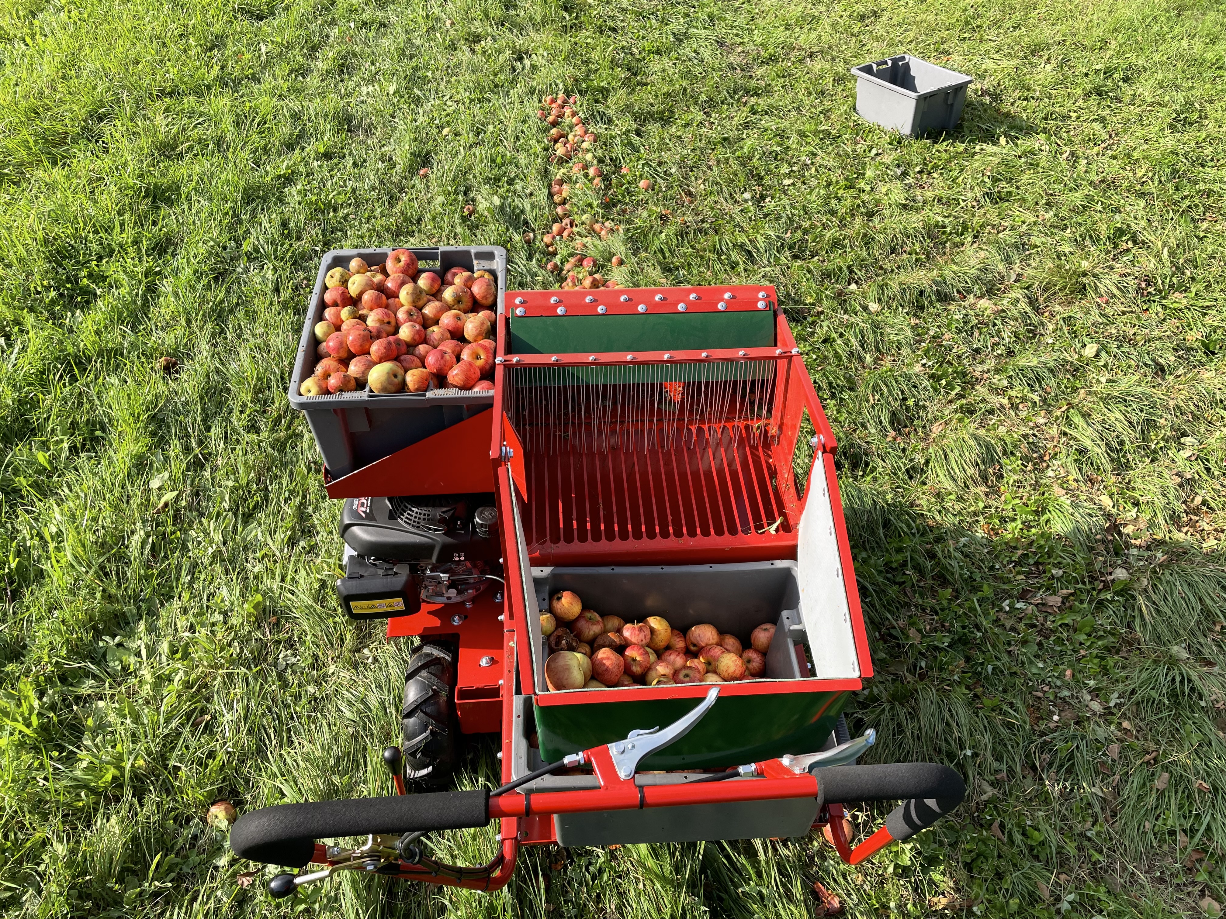 Máquina recolectora de frutas OB50