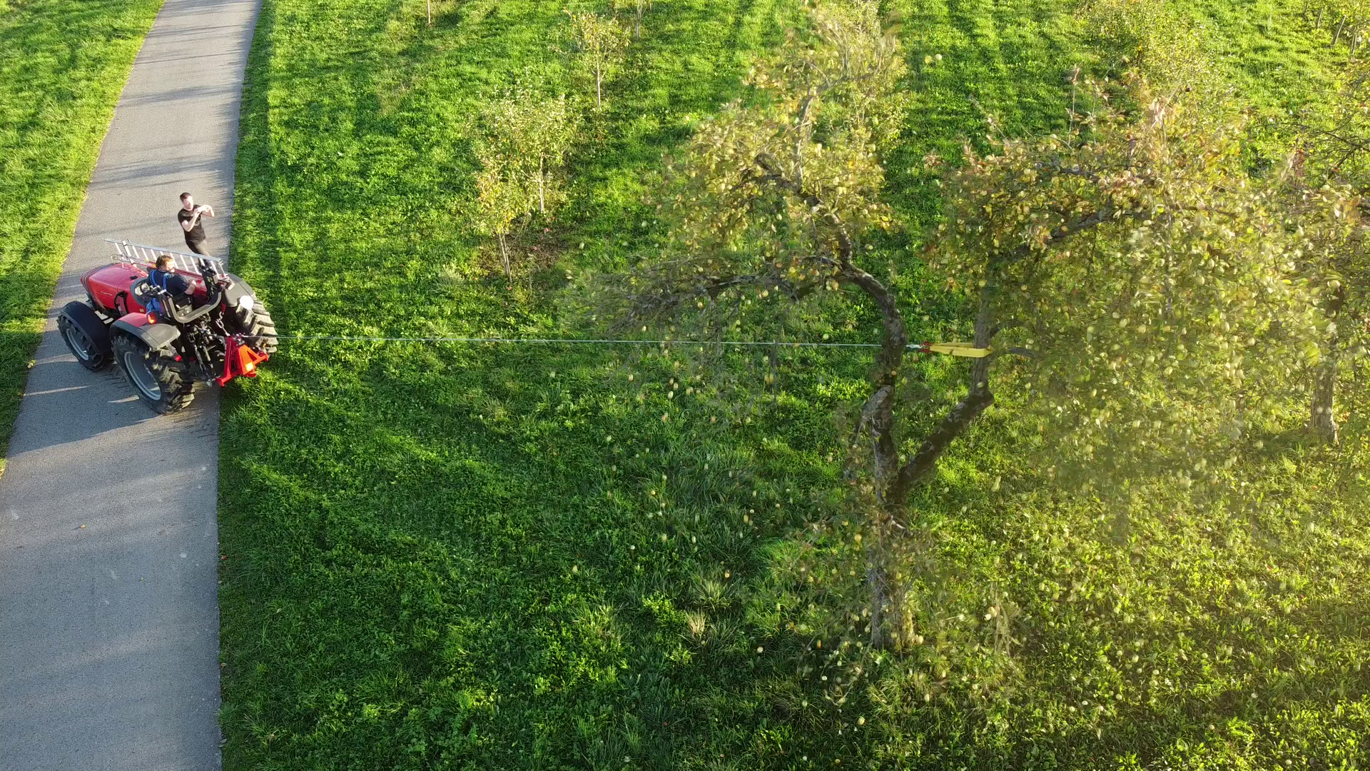 Tree Shaker OS - Rope shaker OS