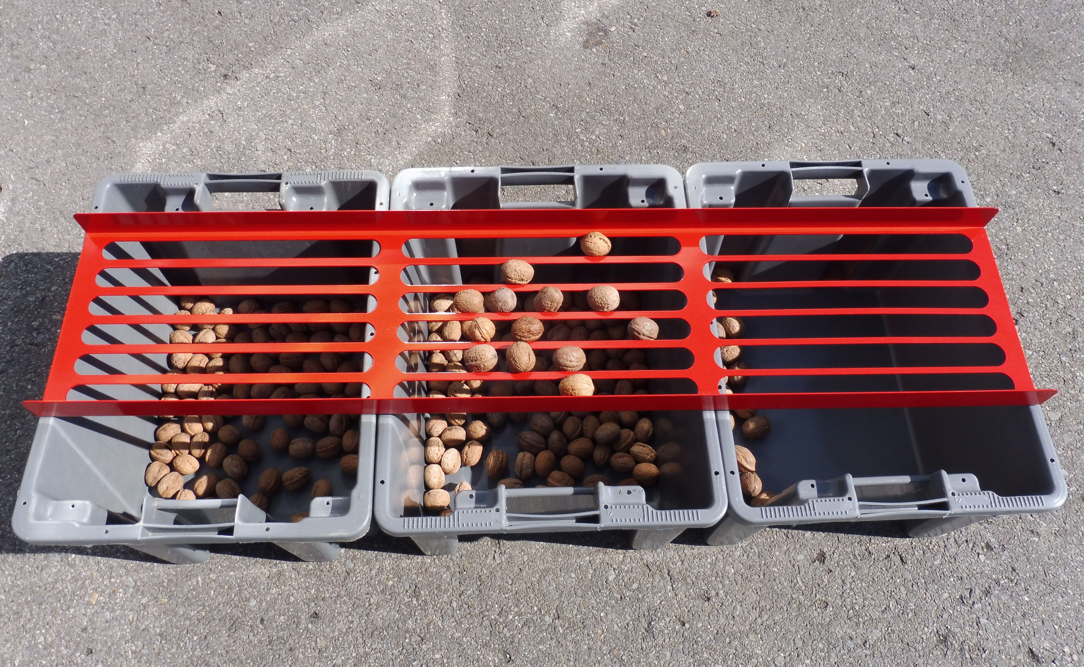 Hand sieve walnut large 28mm, 30mm, 32mm Hand sieve walnut large 28mm, 30mm, 32mm